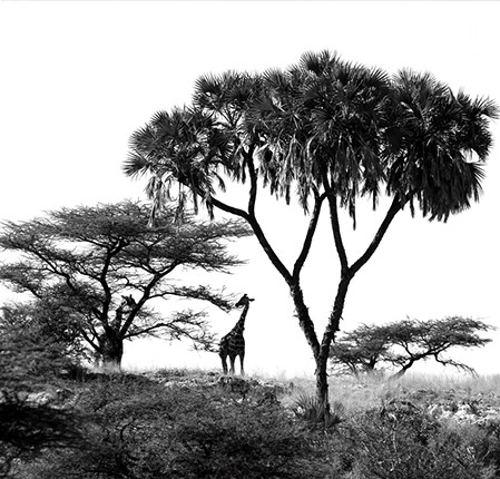 Image with missing alt attribute found on zoner.com