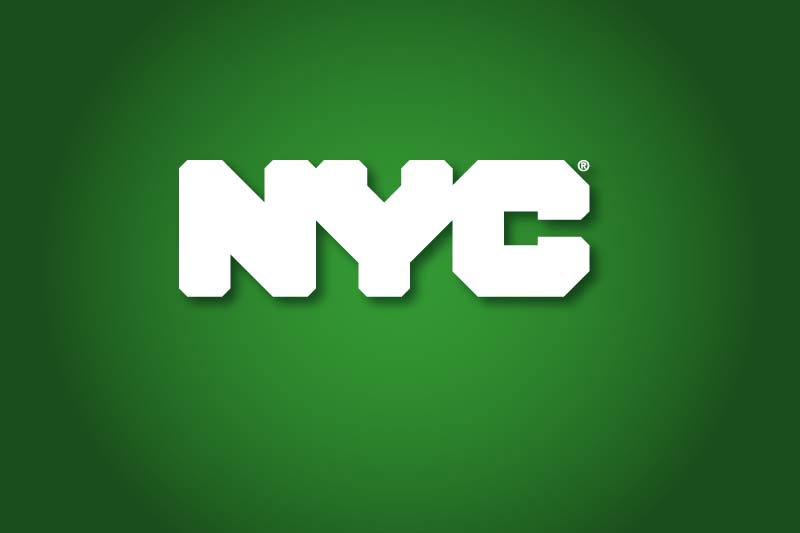 Image with missing alt attribute found on nyc.gov