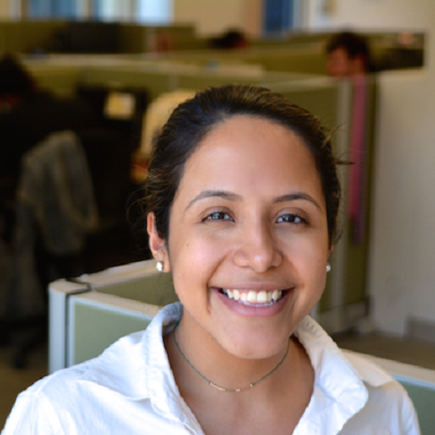 Image with missing alt attribute found on nyc.gov