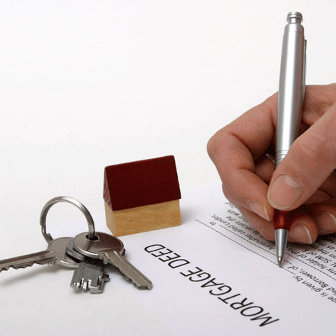 Image with missing alt attribute found on nyc.gov