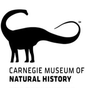 Image with missing alt attribute found on axiell.com