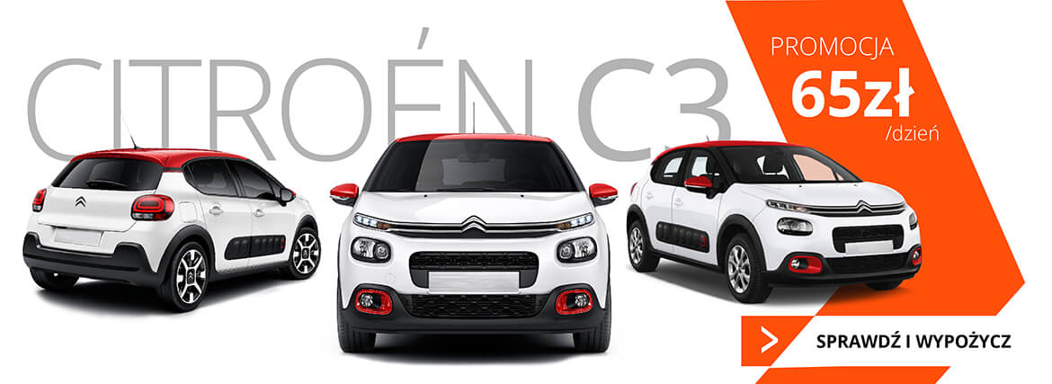 Image with missing alt attribute found on wypozyczalniaszczecin.pl