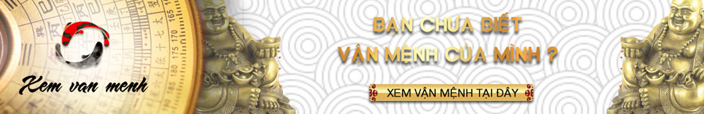 Image with missing alt attribute found on xemvanmenh.net