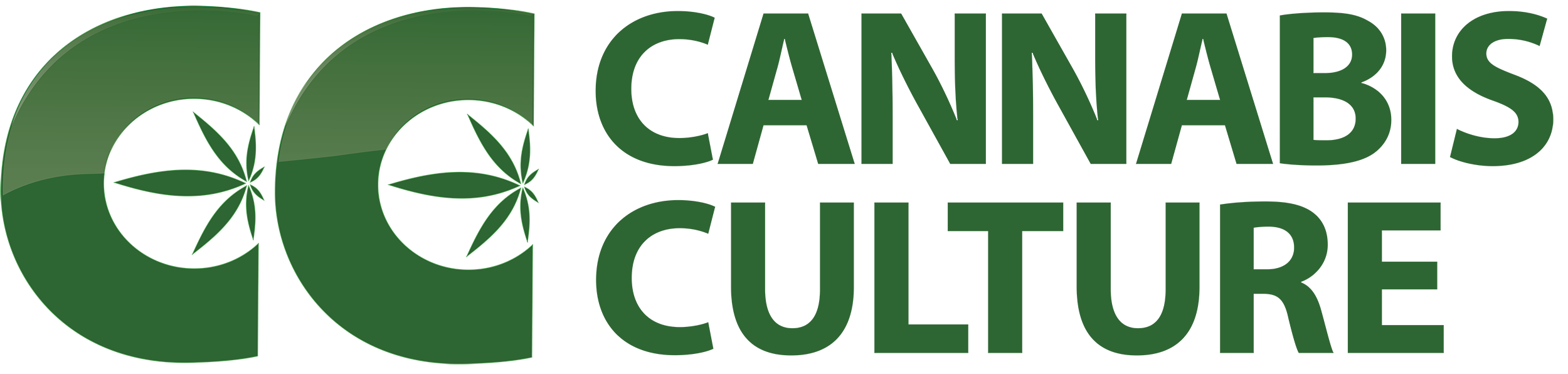 Image with missing alt attribute found on xpressgrass.com