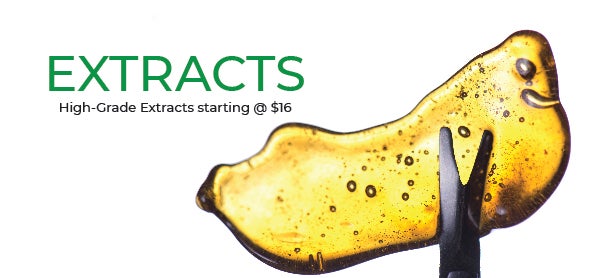 cannabis extracts and concentrates