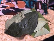 Image with missing alt attribute found on yablor.ru