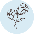 Image with missing alt attribute found on youreggs.com