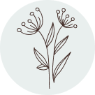 Image with missing alt attribute found on youreggs.com