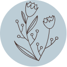 Image with missing alt attribute found on youreggs.com