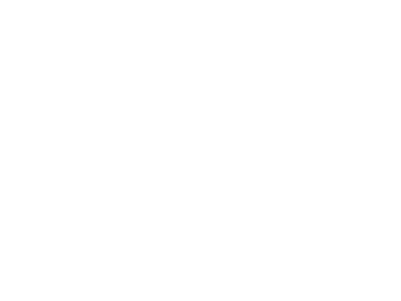 Nucleus Networks Case Study Sierra Metals