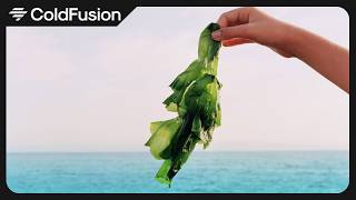 Image with missing alt attribute found on pakvim.net