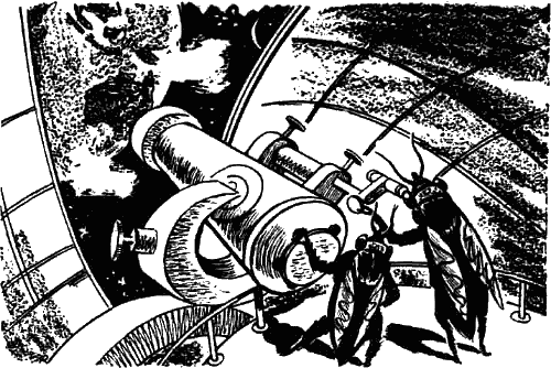 Image with missing alt attribute found on zapatopi.net