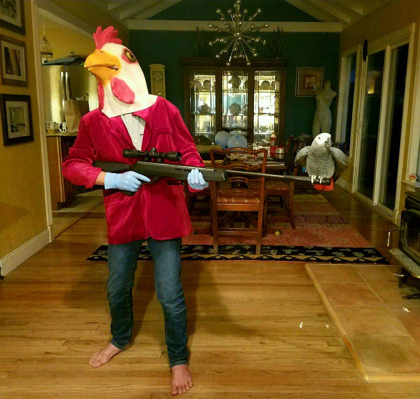 Подборка прикольных картинок