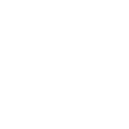 Image with missing alt attribute found on zepth.com