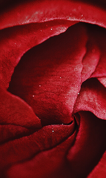 Image with missing alt attribute found on zohosites.com