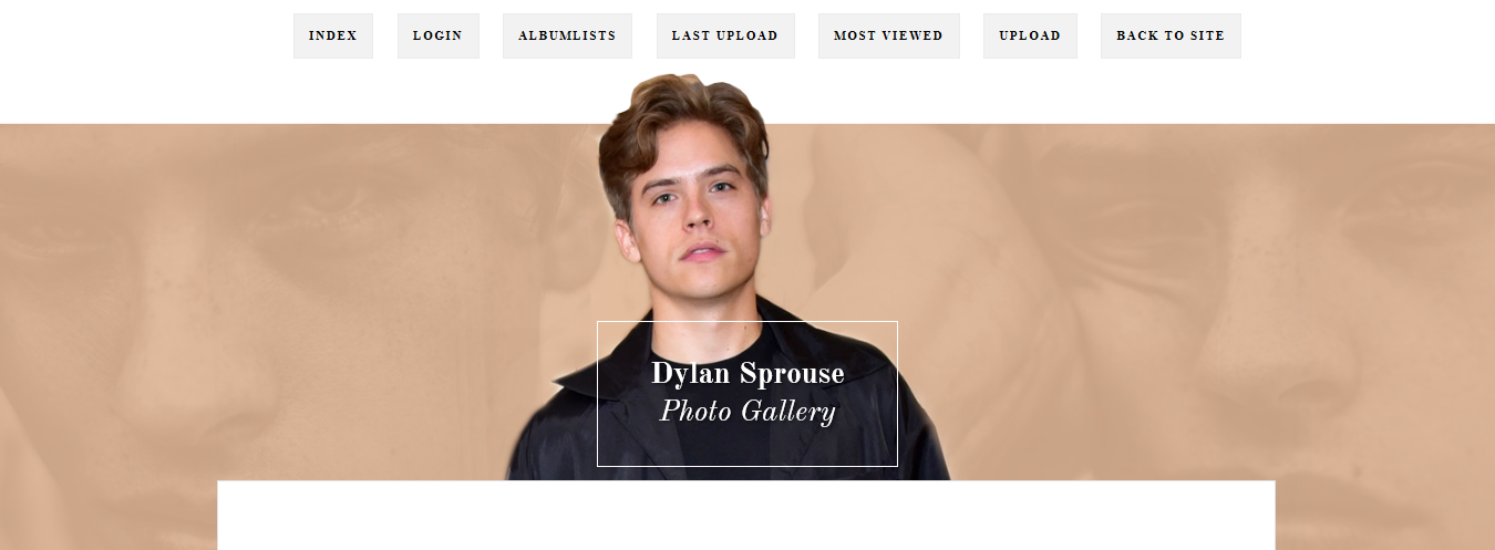 Image with missing alt attribute found on flaunt.nu