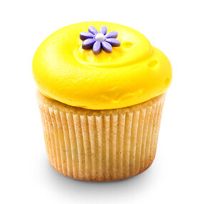 Image with missing alt attribute found on 2048cupcakes.co.uk