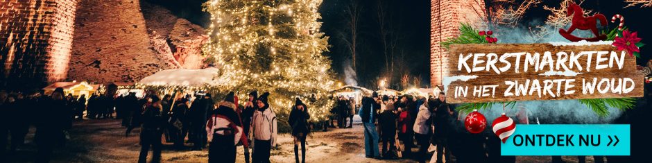 Image with missing alt attribute found on holidayguru.nl