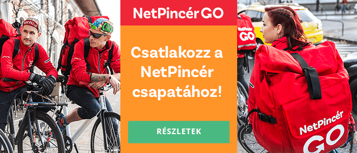 Image with missing alt attribute found on netpincer.hu