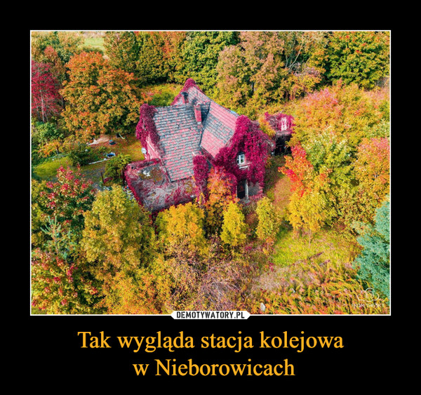 Tak wygląda stacja kolejowa w Nieborowicach –