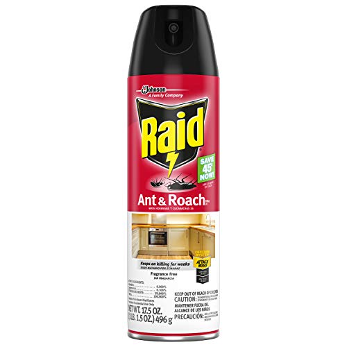 Raid Ant and Roach Killer Fragrance Free, 17.5 OZ (Pack - 1)