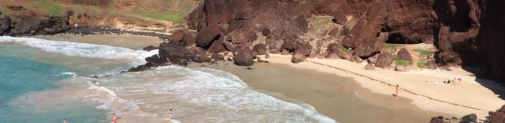 Image with missing alt attribute found on tripadvisor.it