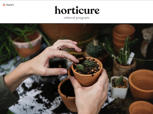 Image with missing alt attribute found on peachs.co