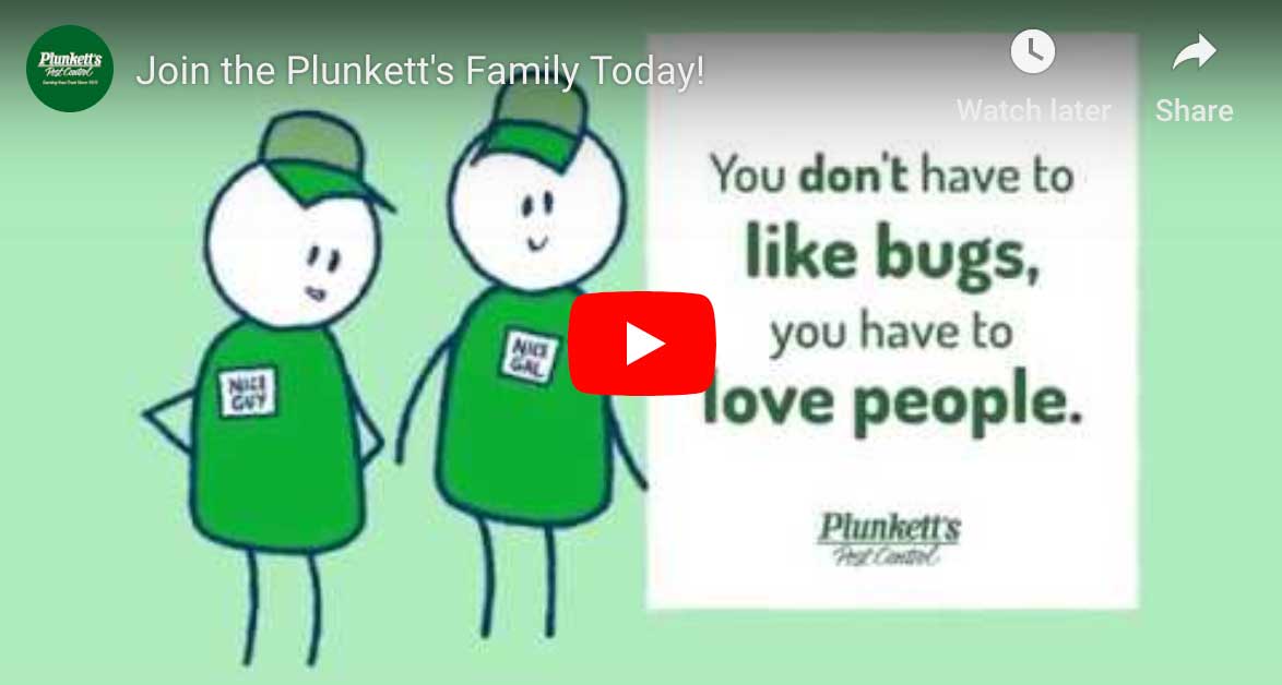 Plunketts Careers Video Player