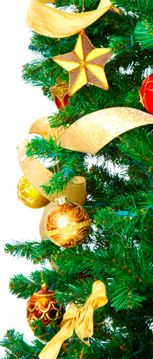 Image with missing alt attribute found on pskovline.ru