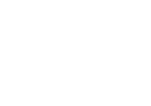 Image with missing alt attribute found on hippovideo.io