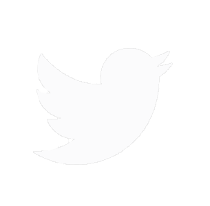 Image with missing alt attribute found on webhost1.ru