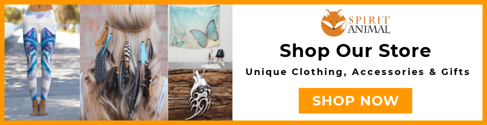 Image with missing alt attribute found on spiritanimal.info