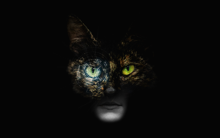 Image with missing alt attribute found on spiritanimal.info