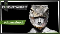 Image with missing alt attribute found on wort-suchen.de