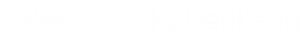 Image with missing alt attribute found on xn--kevinbjereese-gnb.dk