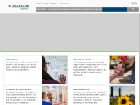 Desktop screenshot for chk.com