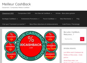 How 00cashback.com looks like on a tablet such as an iPad.