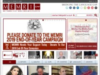 Desktop screenshot for memri.org