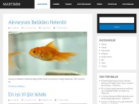 Desktop screenshot for martimm.com