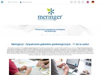 Desktop screenshot for meringer.pl