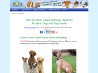 Desktop screenshot for yourpurebredpuppy.com