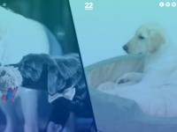 Desktop screenshot for twentytwowords.com