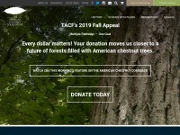 Desktop screenshot for acf.org