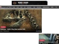 Desktop screenshot for nativeplanet.com