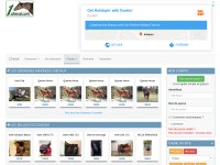 Desktop screenshot for 1cheval.com