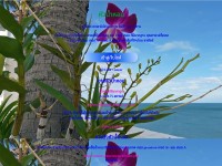 Screenshot of zateer.com