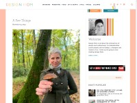 Desktop screenshot for designmom.com