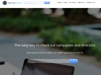 Desktop screenshot for reportingaccounts.com