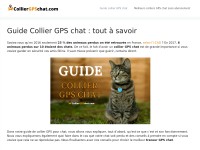 Desktop screenshot for colliergpschat.com