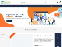 Desktop screenshot for zestardshop.com